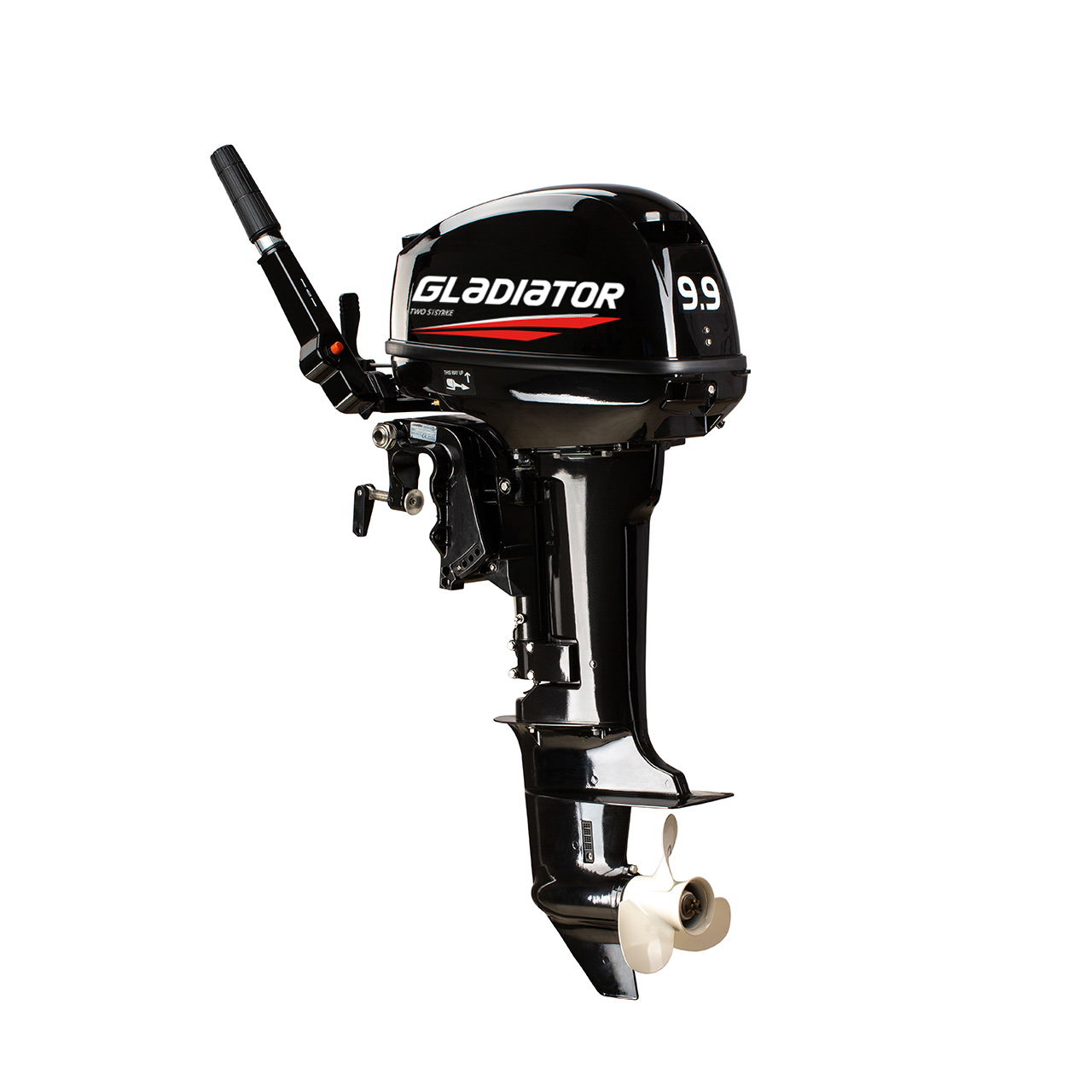 ЛОДОЧНЫЙ МОТОР GLADIATOR G9.9FHS в Туле