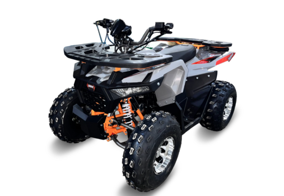 Квадроцикл GBM DAXTER 220 NEW PREMIUM в Туле