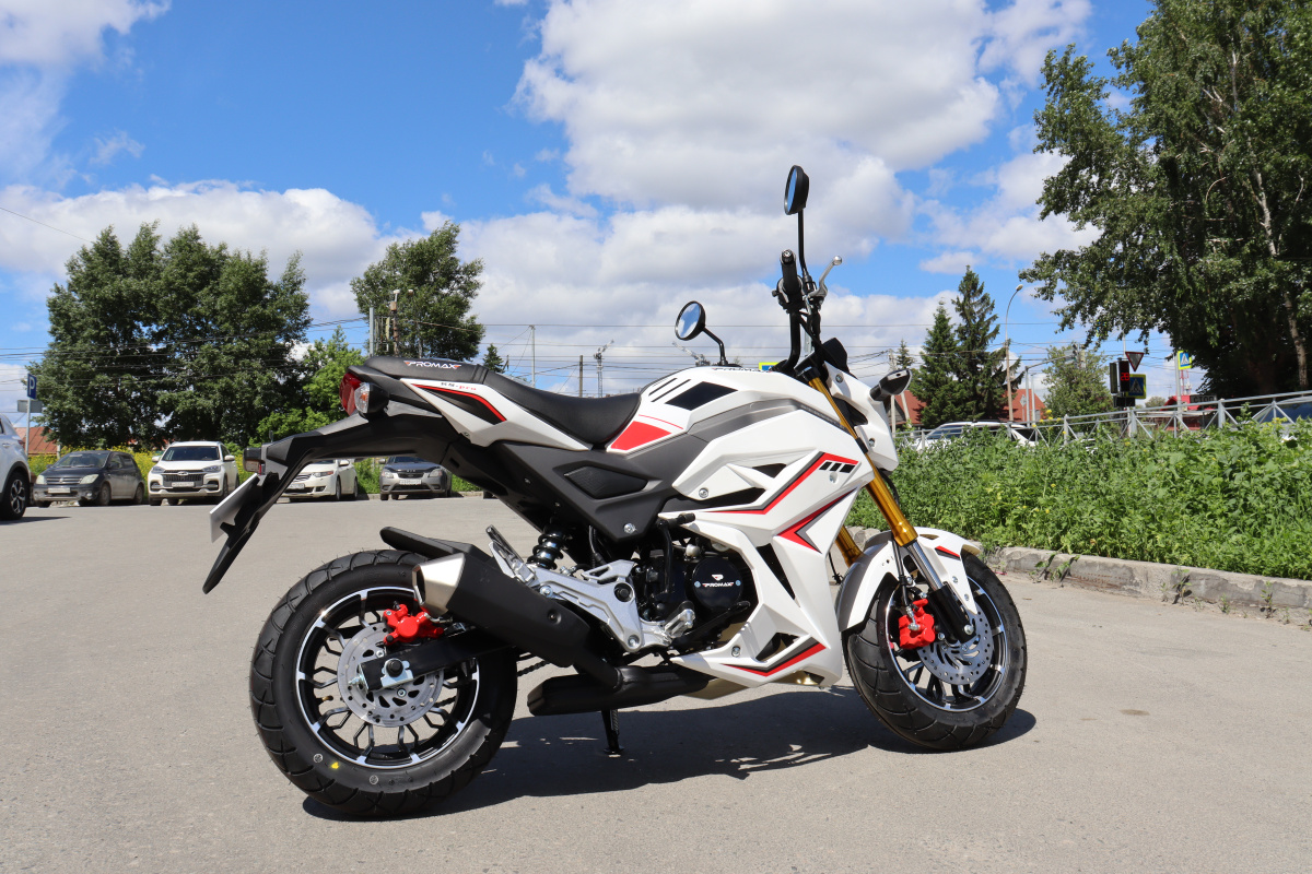 Мотоцикл PROMAX STRYKER 200(49) 2.0 в Туле