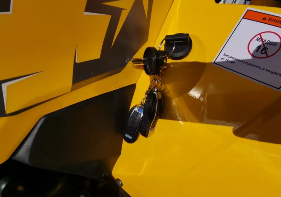 Квадроцикл MOTOLAND (МОТОЛЕНД) VOX200 WILD TRACK X PRO (баланс. вал) в Туле