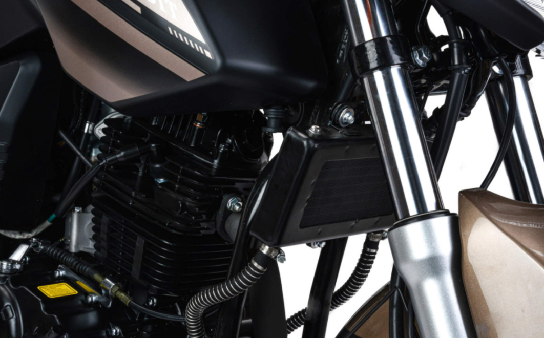 Мотоцикл MOTOLAND (МОТОЛЕНД) 300 BANDIT в Туле