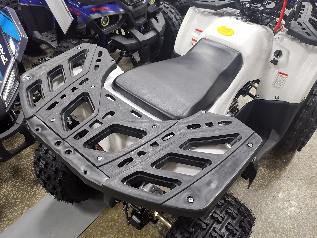 Квадроцикл PROMAX WILD 175 LUX в Туле