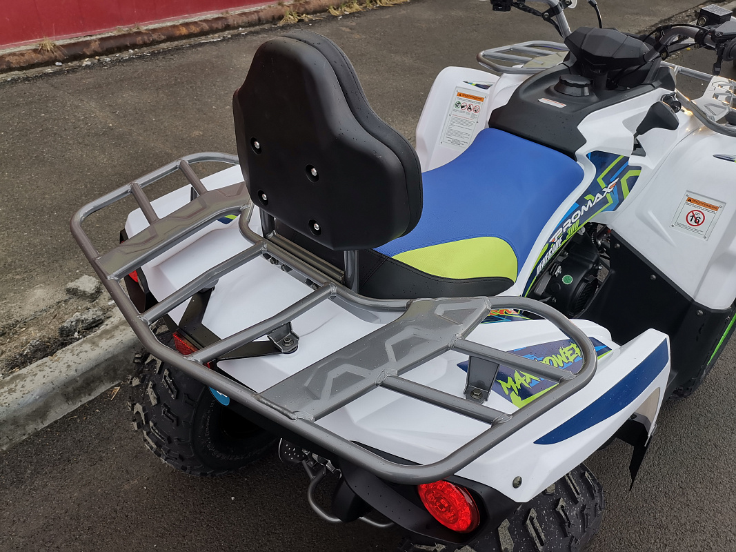 Квадроцикл PROMAX RENEGADE 280 LUX (2025) в Туле