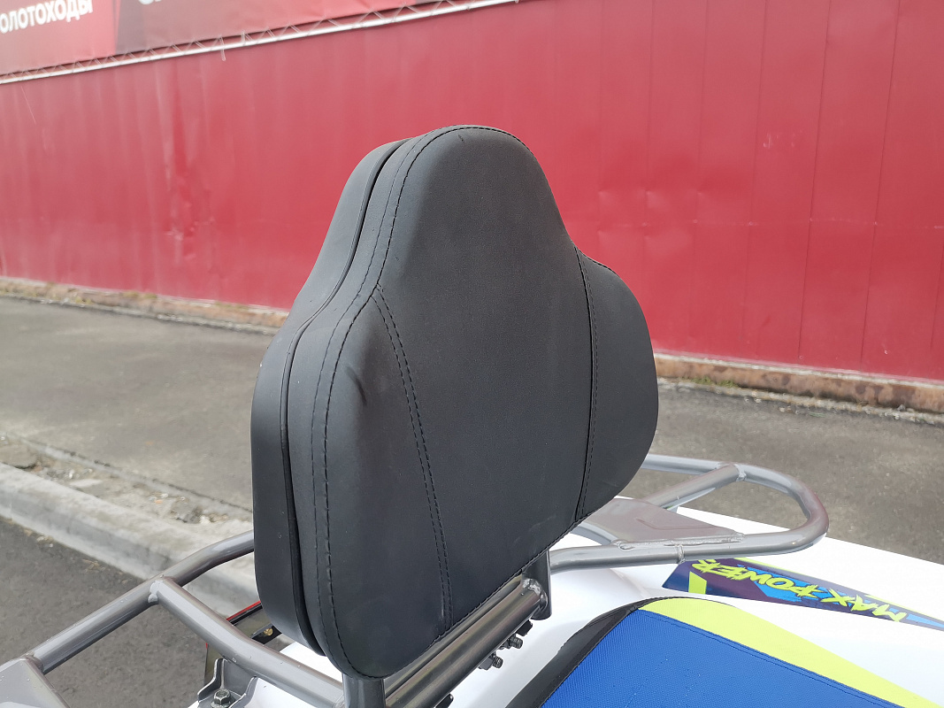 Квадроцикл PROMAX RENEGADE 280 LUX (2025) в Туле