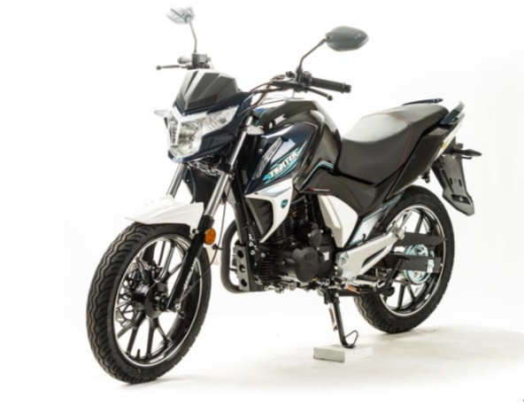 Мотоцикл MOTOLAND (МОТОЛЕНД) FIGHTER 250 в Туле
