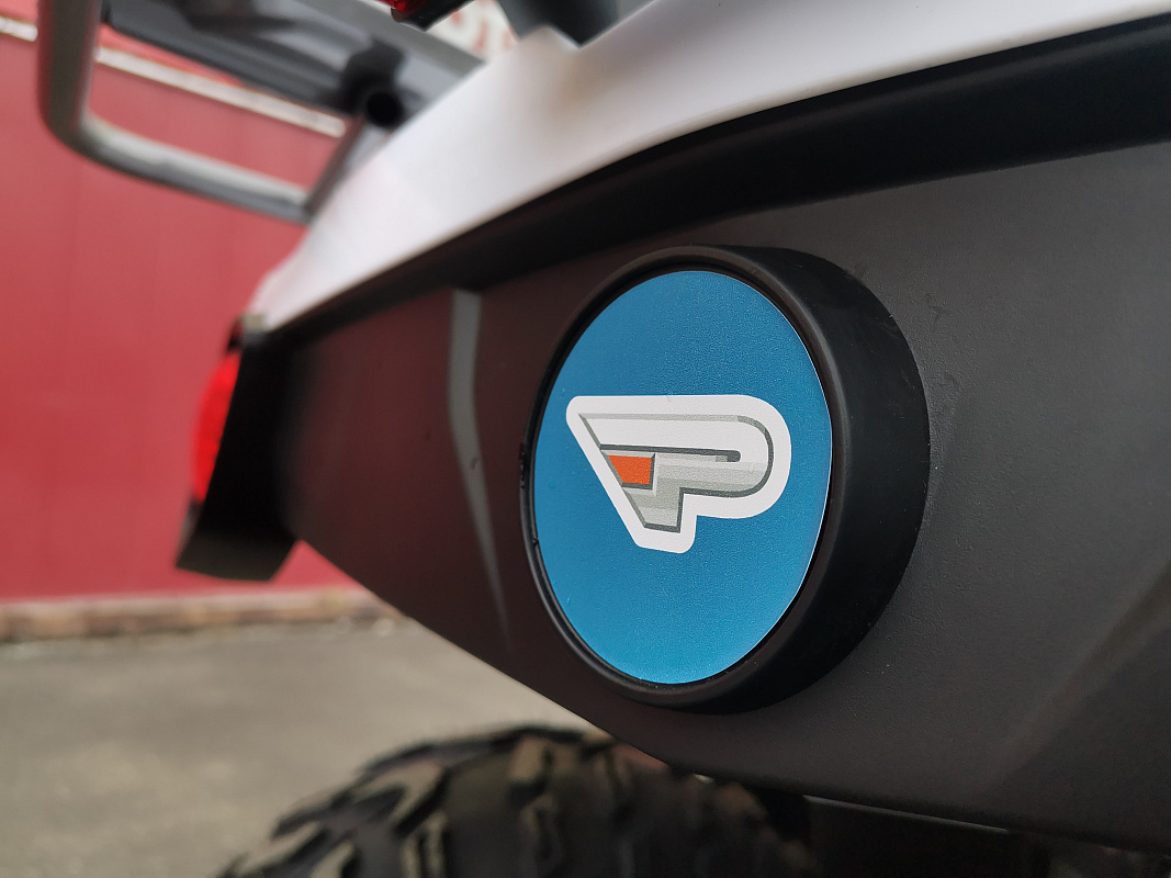 Квадроцикл PROMAX RENEGADE 280 LUX (2025) в Туле