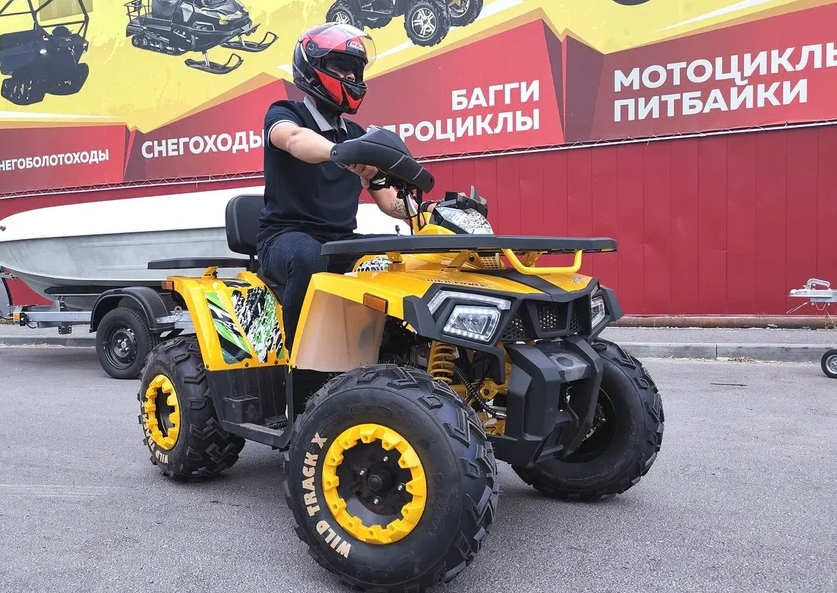 Квадроцикл PROMAX STORM 280 LUX в Туле
