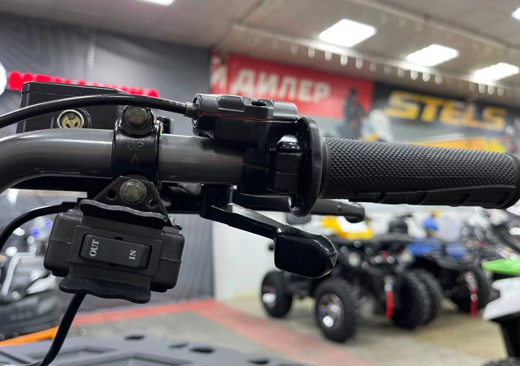 Квадроцикл PROMAX RENEGADE 300 LONG WINCH PRO (2025) в Туле