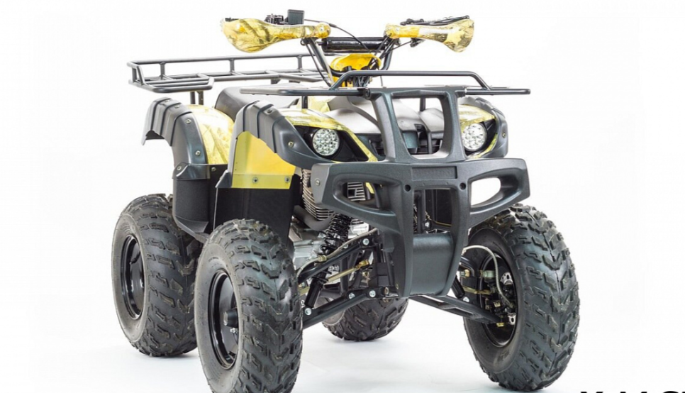 Квадроцикл MOTOLAND (МОТОЛЕНД) 250 ADVENTURE в Туле