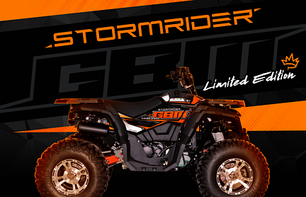 Квадроцикл GBM STORMRIDER 320 NEW LUX в Туле