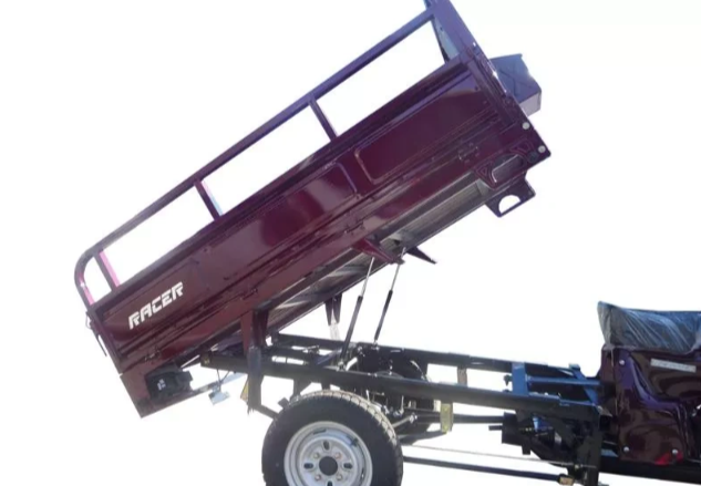 Трицикл RACER RC200ZH MURAVEI в Туле