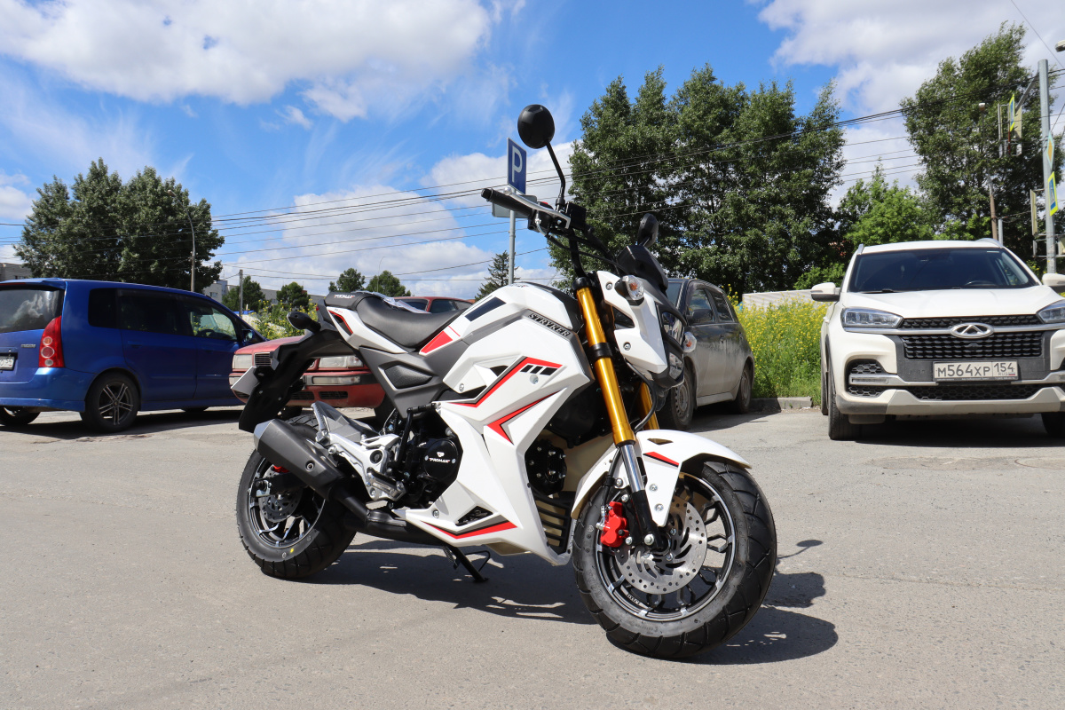 Мотоцикл PROMAX STRYKER 200(49) 2.0 в Туле