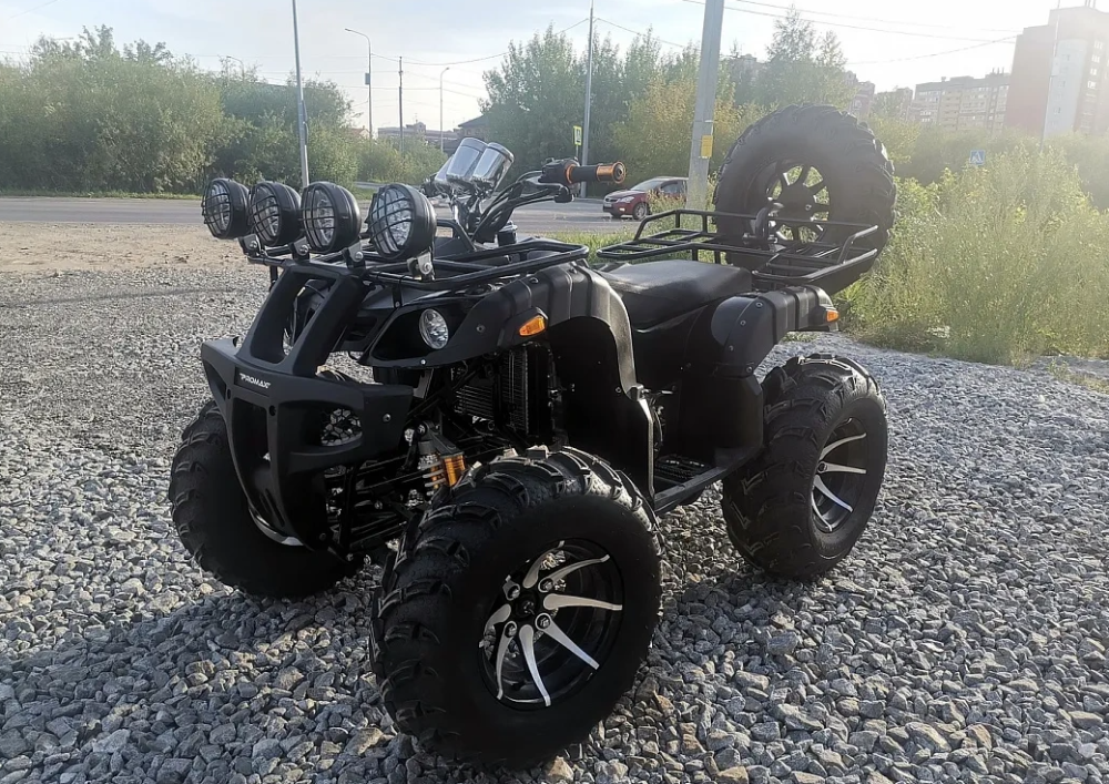 Квадроцикл PROMAX LEO 300 Max (кардан) в Туле