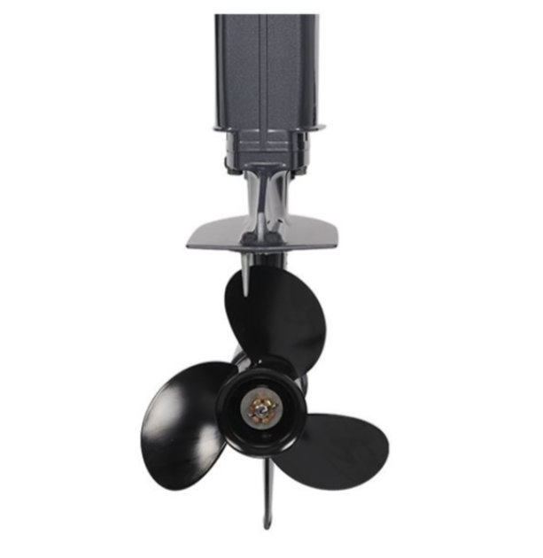 Лодочный мотор ALLFA CG Т40FWT S в Туле