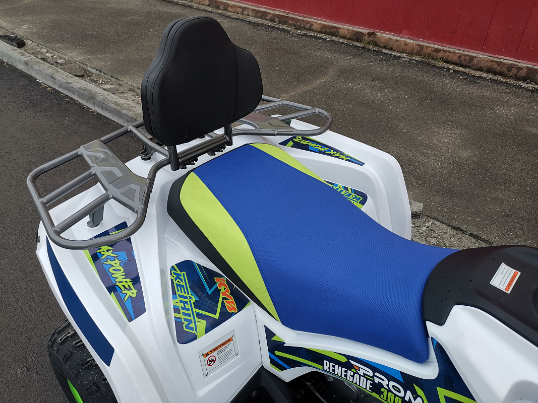 Квадроцикл PROMAX RENEGADE 280 LUX (2025) в Туле