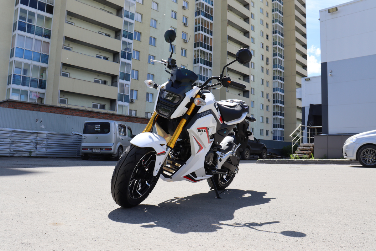 Мотоцикл PROMAX STRYKER 200(49) 2.0 в Туле