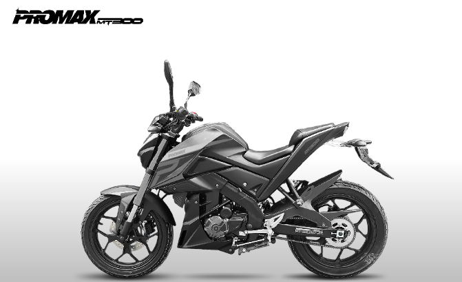 Мотоцикл PROMAX MT300 в Туле