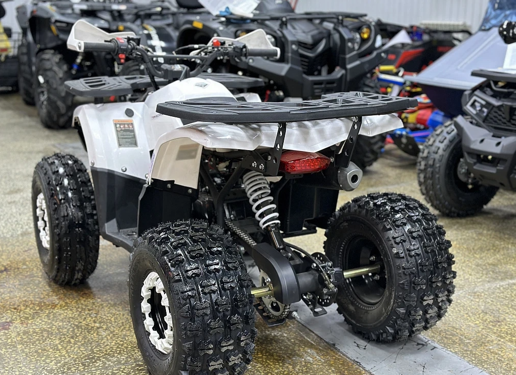 Квадроцикл PROMAX WILD 2.0 190 в Туле