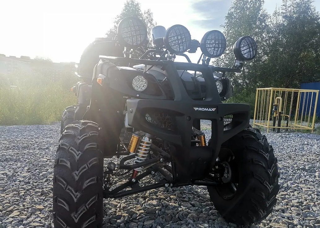 Квадроцикл PROMAX LEO 300 Max (кардан) в Туле