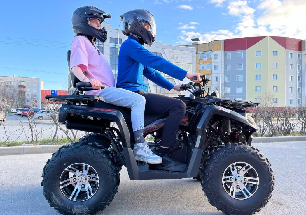 Квадроцикл PROMAX RENEGADE 300 LONG WINCH PRO (2025) в Туле