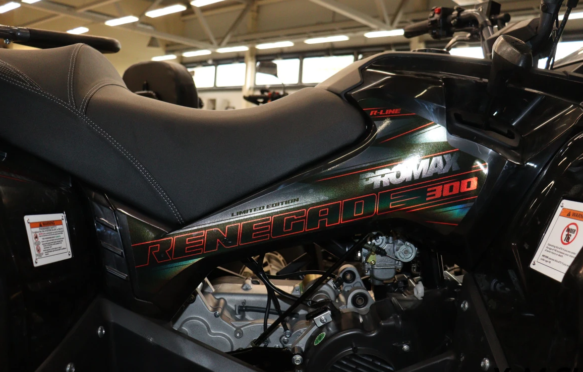 Квадроцикл PROMAX RENEGADE 300 LONG WINCH PRO (2025) в Туле