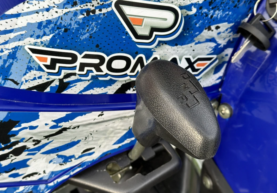 Квадроцикл PROMAX ATV 250 MAX (2025) в Туле