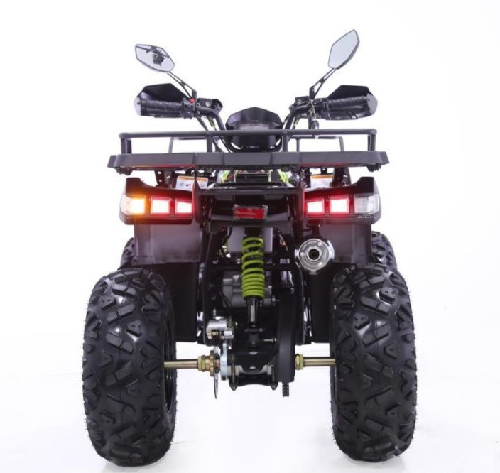 Квадроцикл YACOTA WARRIOR 200 PRO в Туле