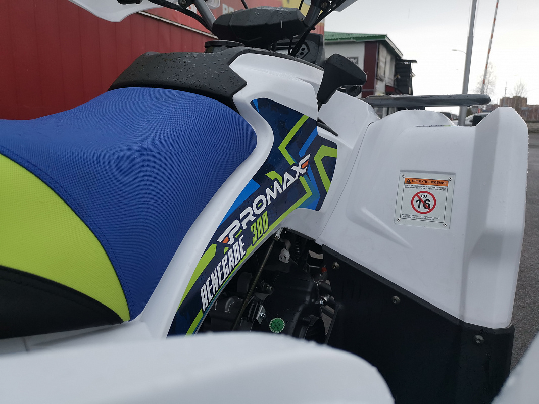 Квадроцикл PROMAX RENEGADE 280 LUX (2025) в Туле