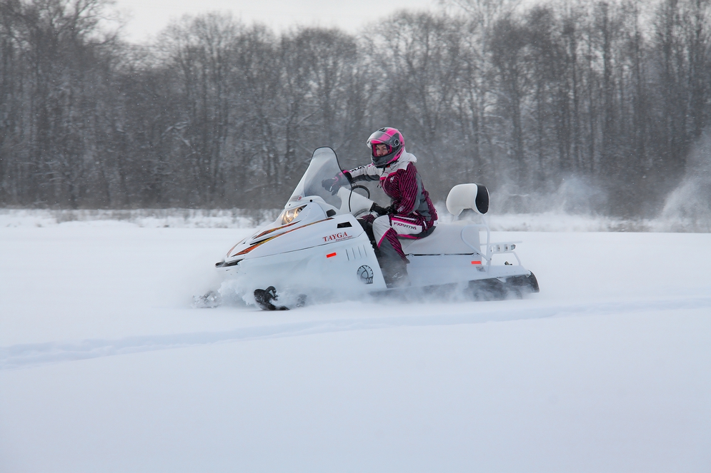 Снегоход Русская механика РМ TAYGA PATRUL 551 SWT в Туле