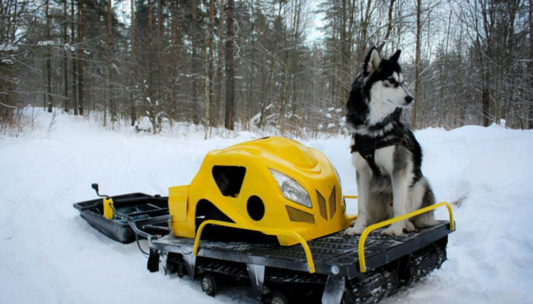Мотобуксировщик LEBEDEV MOTORS ВОЛКОДАВ POWER V13 в Туле