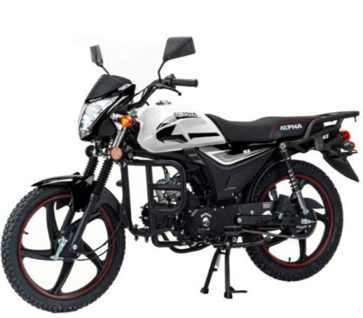 Мопед MOTOLAND (МОТОЛЕНД) Альфа RS 11 (LM48-B) в Туле