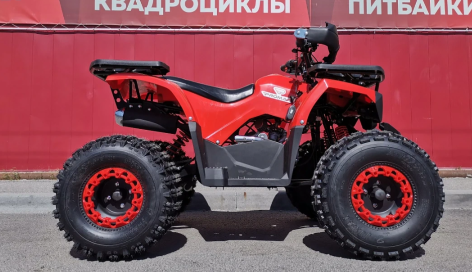 Квадроцикл PROMAX WILD 175 BASIC в Туле