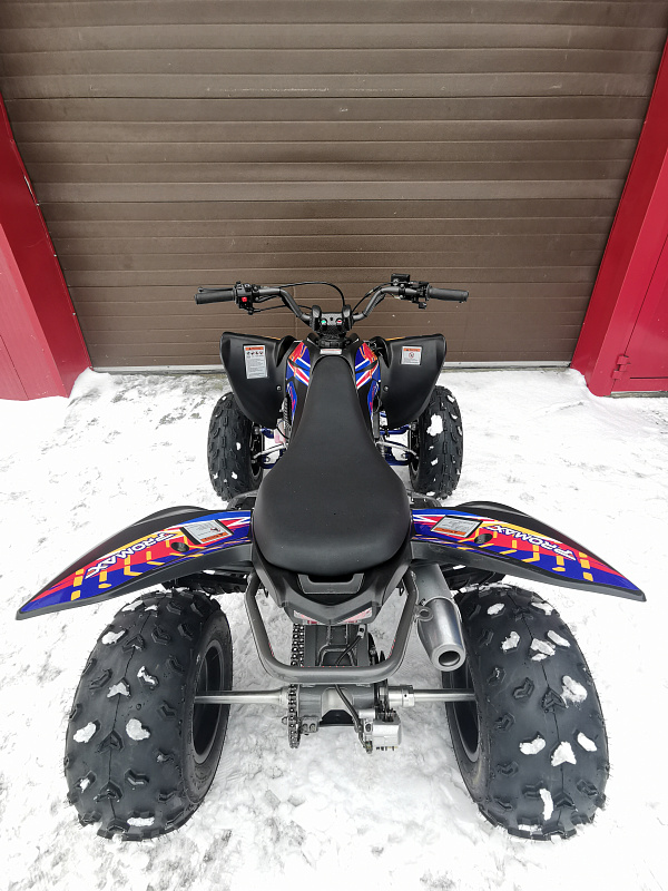 Квадроцикл PROMAX RAPTOR 300 NEW RedBull в Туле