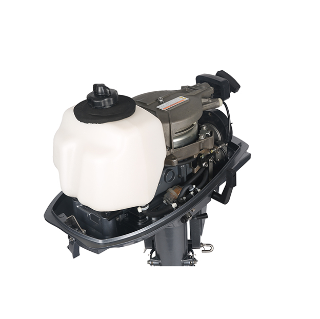 ЛОДОЧНЫЙ МОТОР ALLFA CG T5 в Туле