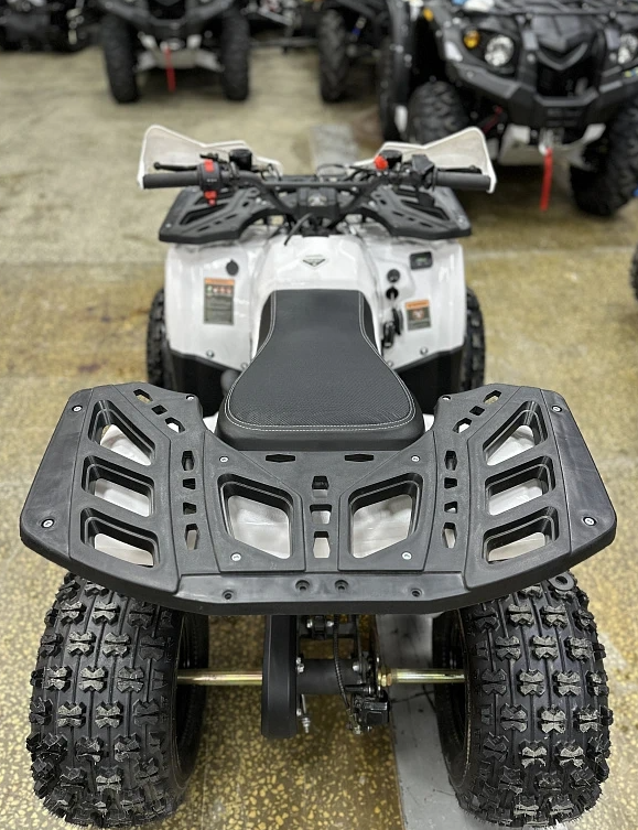 Квадроцикл PROMAX WILD 2.0 190 в Туле