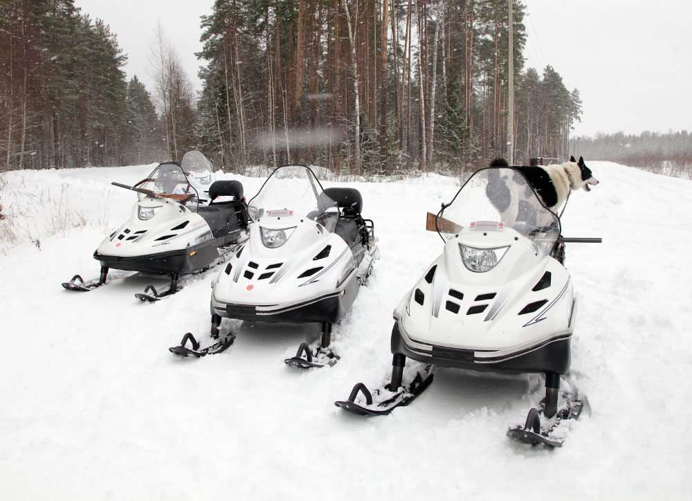 Снегоход Русская механика РМ ТАЙГА ВАРЯГ 550 V в Туле