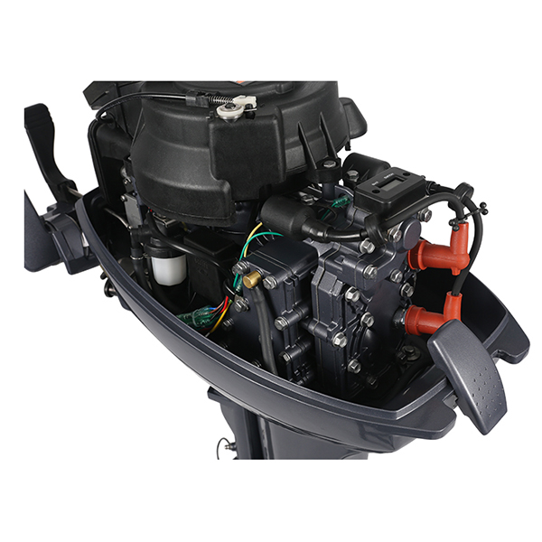 ЛОДОЧНЫЙ МОТОР ALLFA CG Т9,9 Limit в Туле