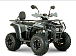 Квадроцикл YACOTA DRAGON LUX LD 150 PRO-SPORT в Туле