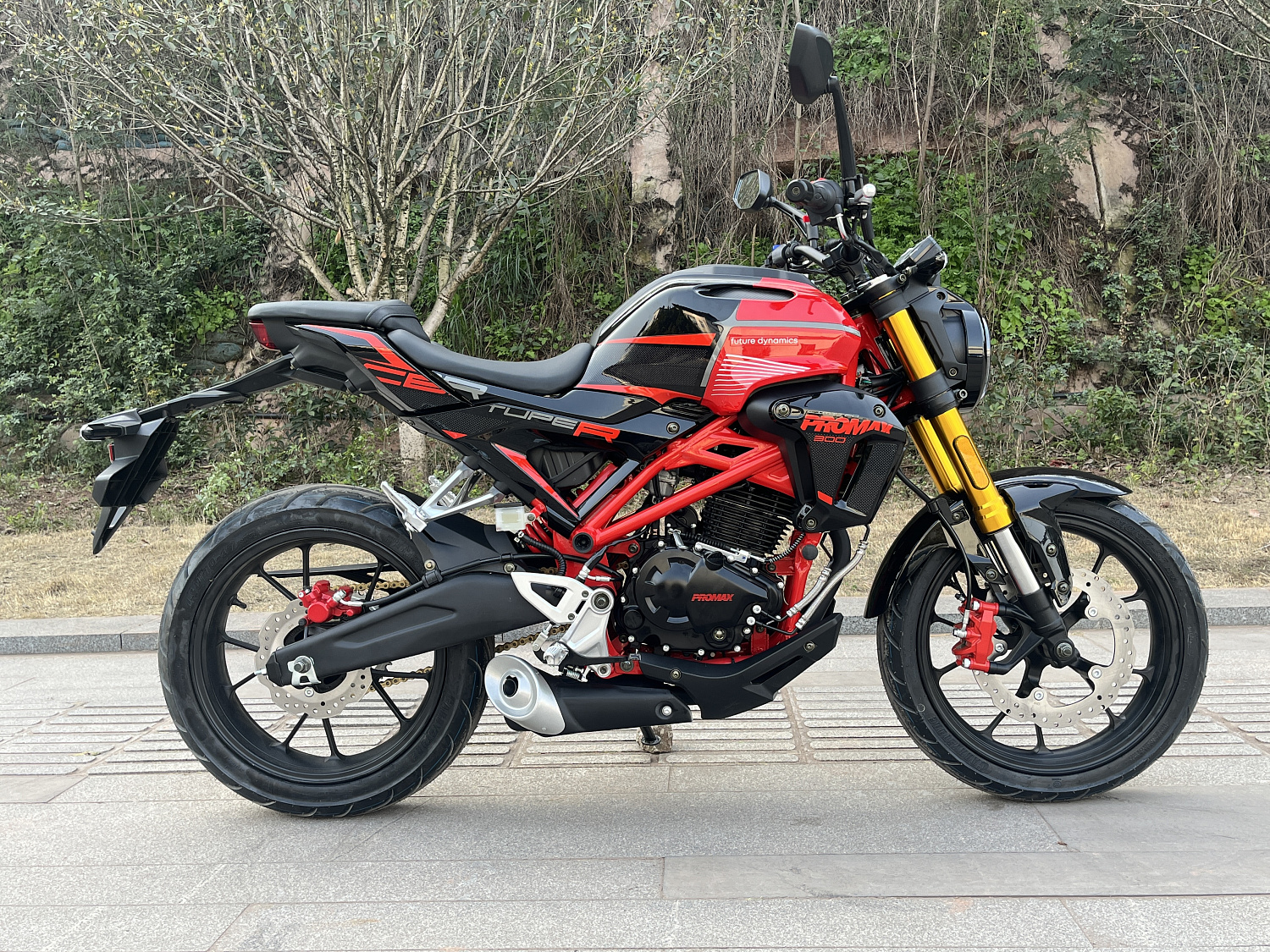 Мотоцикл PROMAX CB300 в Туле