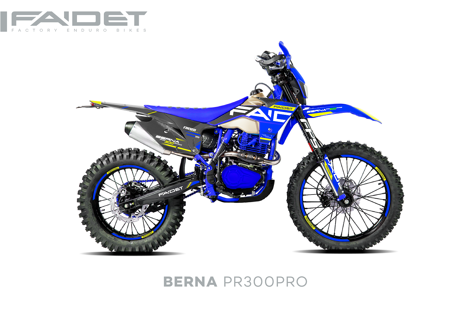 Кроссовый мотоцикл FAIDET BERNA PR300-PRO FPS в Туле