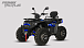 Квадроцикл PROMAX TAURUS 300 MAX-PRO LONG в Туле