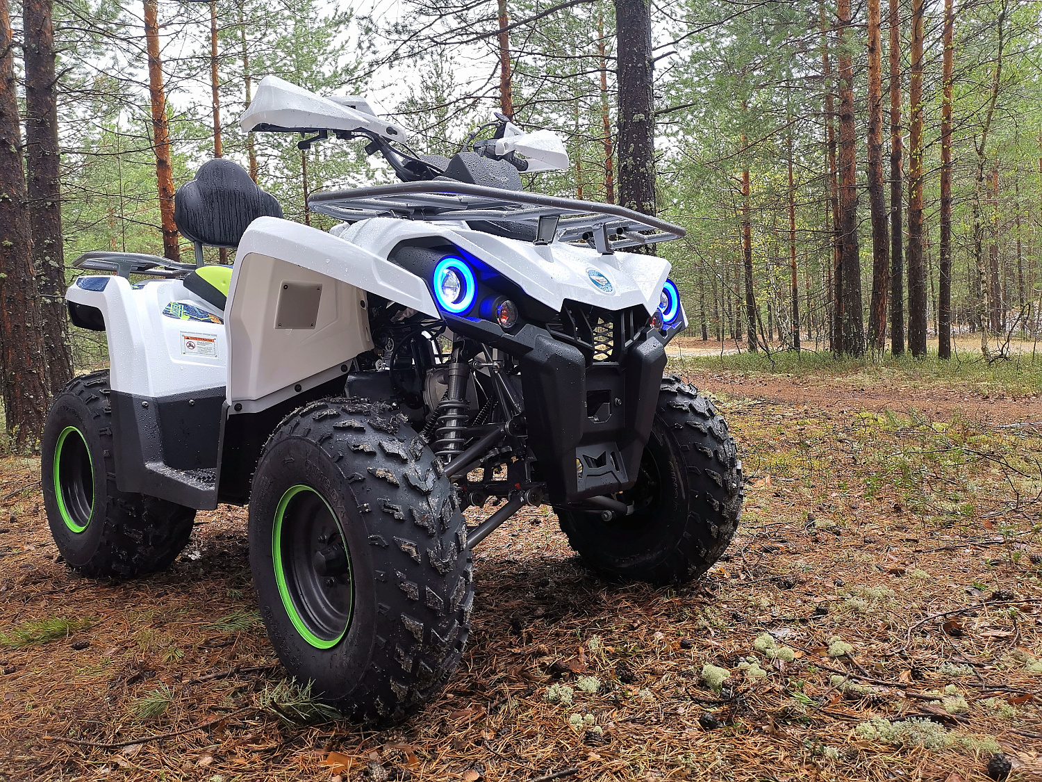 Квадроцикл PROMAX RENEGADE 280 (2025) в Туле