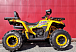 Квадроцикл PROMAX STORM 280 LUX в Туле