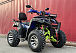  Квадроцикл PROMAX ATV 250 MAX (2025) в Туле