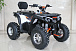 Квадроцикл GBM STORMRIDER 320 PREMIUM в Туле