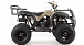 Квадроцикл MOTOLAND (МОТОЛЕНД) 200 ALL ROAD в Туле