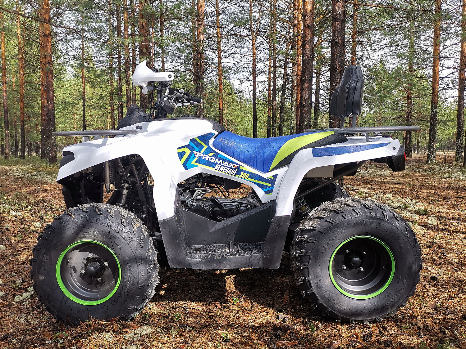 Квадроцикл PROMAX RENEGADE 280 (2025) в Туле