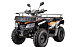 Квадроцикл YACOTA CABO 200 в Туле