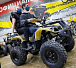 Квадроцикл PROMAX ATV 250 (2025) в Туле