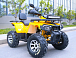 Квадроцикл MOTOLAND (МОТОЛЕНД) VOX200 WILD TRACK X PRO (баланс. вал) в Туле